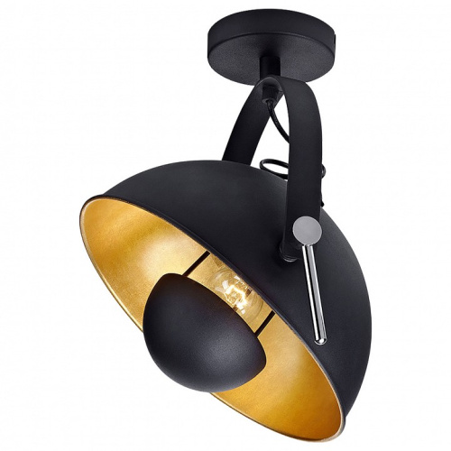 Спот Lussole Sherrelwood GRLSP-9825. Фото №1