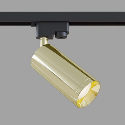 Светильник на штанге Maytoni Focus TR004-1-GU10-G. Фото