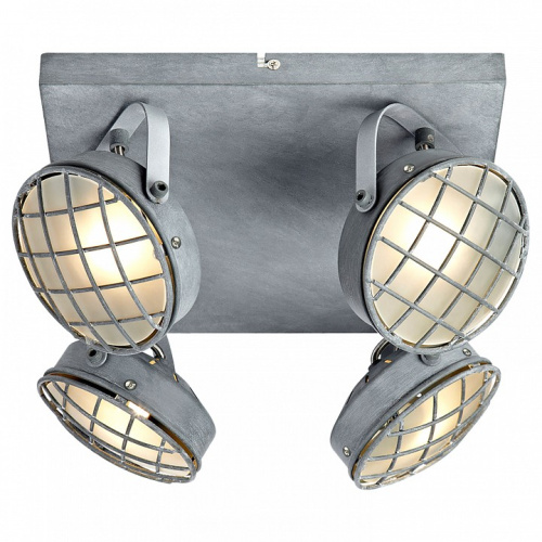 Спот Lussole Lakewood GRLSP-9981. Фото №1