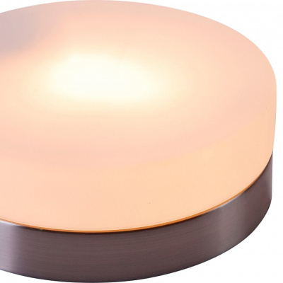 Накладной светильник Globo Opal 48401. Фото