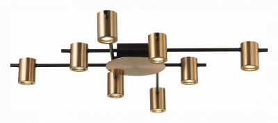 Потолочная люстра ST-Luce Veroli SL1207.402.08. Фото №2