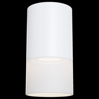 Накладной светильник Maytoni Pauline C007CW-01W. Фото №2