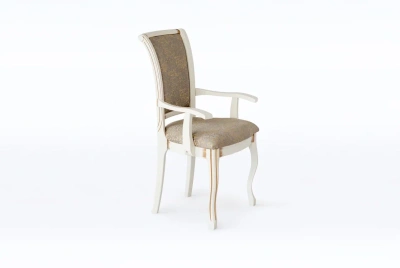 Стул Венеция М 11 тк.2. Фото